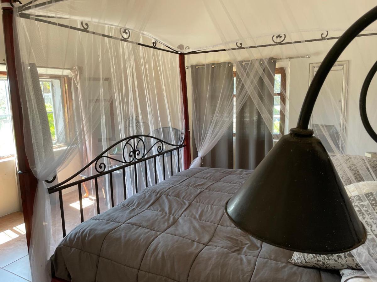 Casa Wong Leilighet Todos Santos Eksteriør bilde